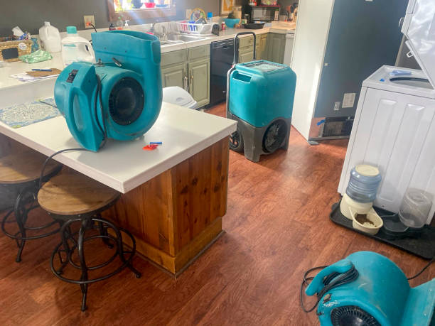Best Flood damage cleanup  in Paintsville, KY