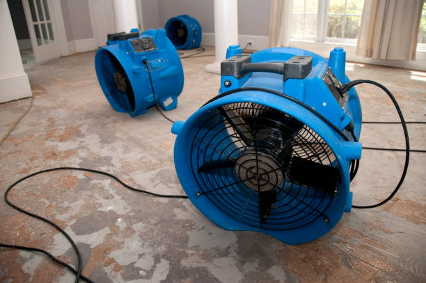Reliable Paintsville, KY Water damage restoration Solutions