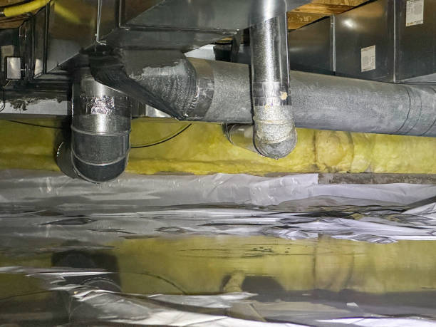 Best Water damage cleanup near me  in Paintsville, KY