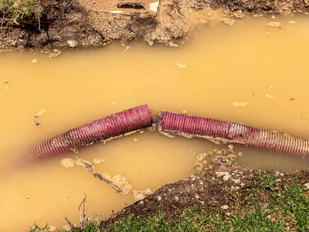 Best Water damage restoration near me  in Paintsville, KY