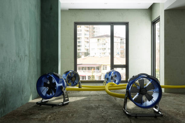 Best Emergency water damage restoration  in Paintsville, KY