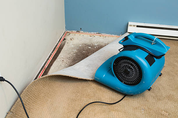 Best 24/7 water damage repair  in Paintsville, KY